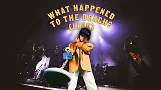 Declan McKenna  What Happened to the Beach Live [upl. by Denae]