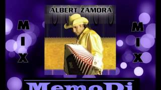 Albert Zamora Tejano mix [upl. by Libbi]