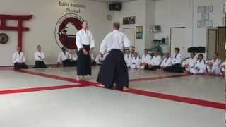 2e dan examen Yoseikan Aikido presentatie Sander [upl. by Comptom390]