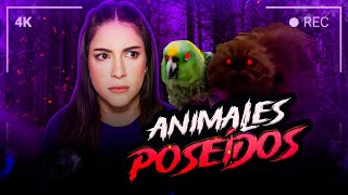 CUIDADO CON TU MASCOTA VIDEOS PARANORMALES  HeyEstee [upl. by Yetsirhc]