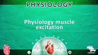 L3 Muscle excitation contraction coupling Physiology [upl. by Pauiie]