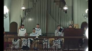 Confitebor tibi Domine  C Monteverdi Sop 김해선 [upl. by Marpet]