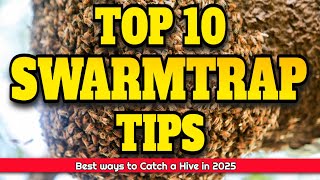 Top 10 Tips for Catching Honeybees Swarms swarmtrap [upl. by Otho341]