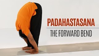 How to do Padahastasana Forward Bend  Yoga  Standing Postures [upl. by Onitsoga513]