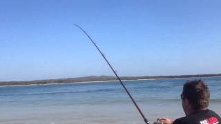 part 1 2nd golden travalley 105kg inskip point 3112013 fishing [upl. by Radman467]