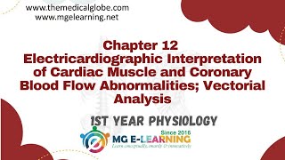 Electrocardiographic Interpretation of Cardiac Muscle and Coronary Blood Flow Chapter 12  Heart [upl. by Whitford]