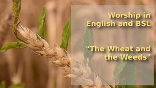 Wheat and Tares  Worship in English and BSL [upl. by Pietje]