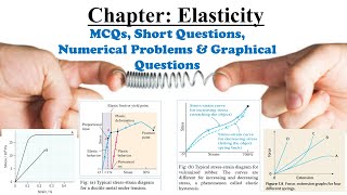 Class 11 Physics Chapter Elasticity MCQs Short amp Graphical and Exam Style Questions [upl. by Eyllom]