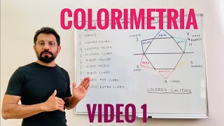 COLORIMETRIA DEL CABELLO  VIDEO 1 [upl. by Atteram314]