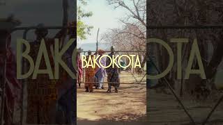 ‘Bakokota official music video OUT NOW on all platforms 🐄💐 [upl. by Rezal]