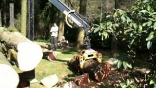 Tree Clearing amp Timber Extraction [upl. by Poore]