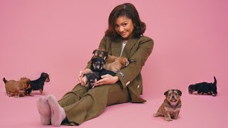 Zendaya The Puppy Interview [upl. by Assenay27]