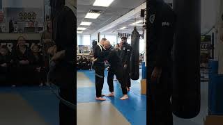 Blue Belts Leveling Up bjj jiujitsu mma shorts [upl. by Ydaj]