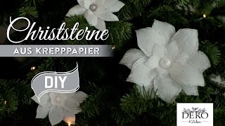 Weihnachtsdeko basteln Christsterne aus Krepppapier How to  Deko Kitchen [upl. by Chaker474]