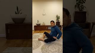 10 Day Hip Mobility Challenge Day 4  Feldenkrais Style [upl. by Dituri]