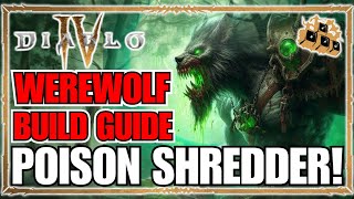 Diablo 4 Poison Shredder Druid TOXIC Werewolf Blurred Beast Endgame Guide [upl. by Truscott]