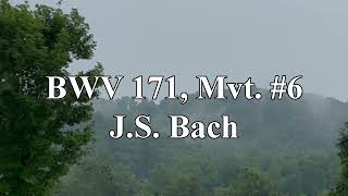 BWV 171 Mvt 6  JS Bach [upl. by Winnah771]