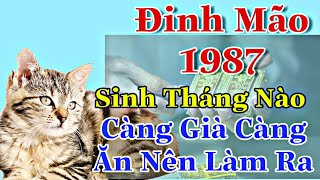 Đinh Mão 1987 Xem Tháng Sinh Nào Hậu Vận Sung Túc Tháng Nào Làm Mãi Không Dư [upl. by Euqinomahs]