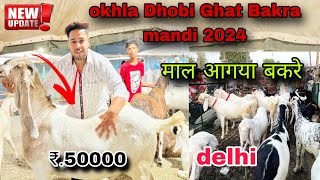 Okhla dhobi ghat bakra mandi 🐐 latest update 2024 okhla bakra mandi me maal aagya 😍 [upl. by Brien]