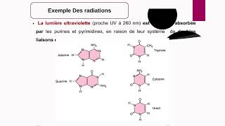 La biologie moléculaire 2 [upl. by Lanctot]