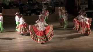 Folkmoot 2014 Colombia [upl. by Lleznol]