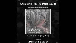 ANTVMNY  In The Dark Woods  2024 [upl. by Hadleigh]