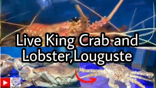 Live King Crab and LobsterLouguste in UAEDubai Fish Market [upl. by Illa14]