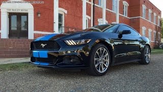 Grabber Blue Stripes on 2015 Ford Mustang GT Fastback are a MustHave [upl. by Lillith]