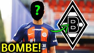 🚨Bombastische Transfers Wer sind Gladbachs neue Ziele [upl. by Boudreaux97]