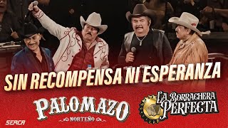 Eliseo Robles  Lalo Mora  Palomazo Norteño  Sin Rencompensa Ni Esperanza  Video Oficial [upl. by Zullo]