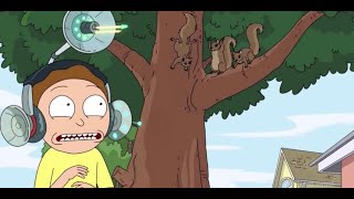 Squirrels  Rick and Morty [upl. by Aineg]