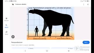 paraceratherium sounds [upl. by Marpet]