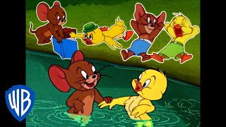 Tom amp Jerry  Best of Jerry and Little Quacker  Classic Cartoon Compilation  WB Kids [upl. by Trebuh]