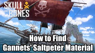 Skull and Bones How to Find Gannets Saltpeter Material [upl. by Ahcsatan304]