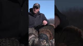 A PERFECT Turkey Season [upl. by Christiansen]