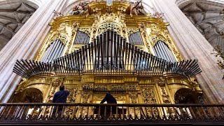 Segovia cathedral organ Spain [upl. by Wadesworth399]