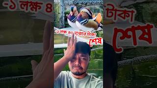 ম্যান্ডারিন হাঁস আর বৃষ্টি আমার iPhone 14 Pro Maxএর শেষ দিন [upl. by Eladnek]