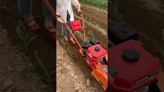 This tiller is so small and convenient farming machine farmequipment [upl. by Ttennej546]