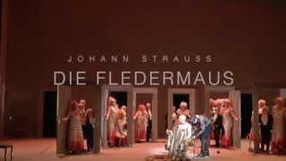 DIE FLEDERMAUS  Theater und Orchester Heidelberg [upl. by Ace104]