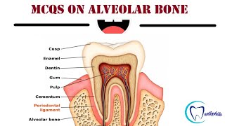 MCQs on Alveolar bone  Periodontics  Dentophile [upl. by Dare]