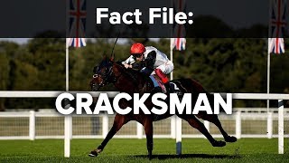 Fact File Cracksman [upl. by Rehctelf]