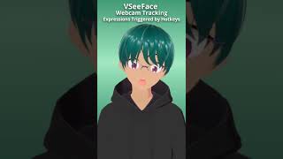 VTuber Face Tracking VSeeFace iFacialMocap Nvidia vtuber vseeface facetracking [upl. by Brooke]