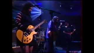 the breeders  cannonball  live  1993 [upl. by Leinaj]