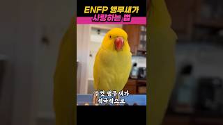 ENFP 앵무새가 짝사랑에 성공하는 방법 [upl. by Schroder]