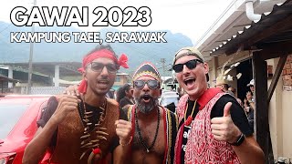 GAWAI 2023  Kampung Taee Sarawak [upl. by Lachish167]