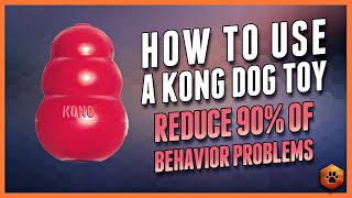 The Surprising Way Kong Toys Can CHANGE Your Dogs Life [upl. by Nylazor]