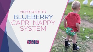 Blueberry Capri Nappy System Video Guide  The Nappy Lady [upl. by Ferwerda]