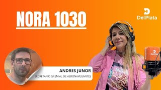 ANDRES JUNOR SECRETARIO GREMIAL DE AERONAVEGANTES ENTREVISTA CON NORA BRIOZZO EN RADIO DEL PLATA [upl. by Osswald]