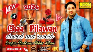 chaa pilawan slowed and reverb songs mp3 2024 saraiki 2024 singer nadeem abbas khan top 3 saraiki [upl. by Saidel]