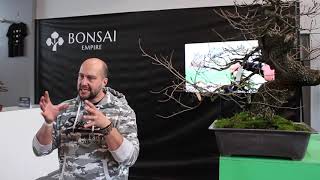 Collecting Yamadori Bonsai by Mauro Stemberger [upl. by Ancalin]